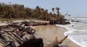 Les nuances de la vulnérabilité des îles de la Basse Casamance